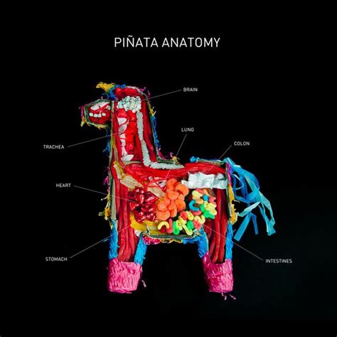 Piñata Anatomy — Colossal.